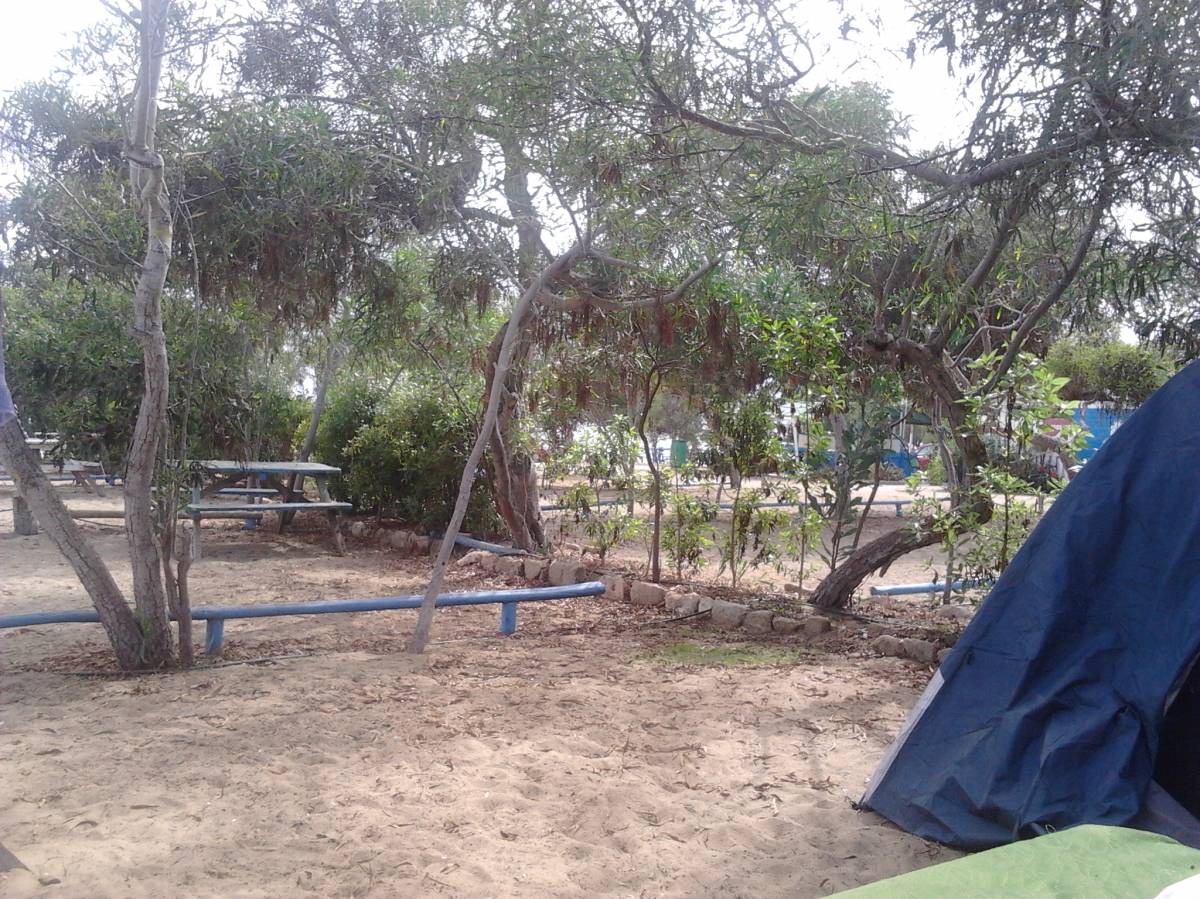 Camping el Oasis - Sector el Bosque