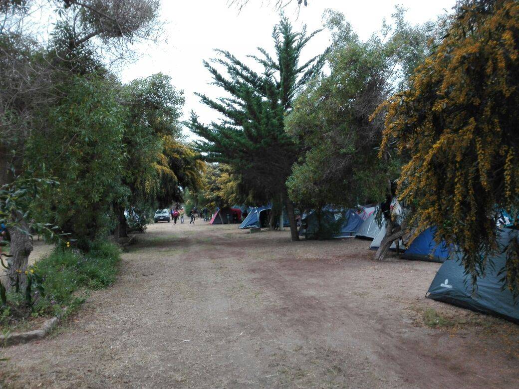 Camping el Oasis - Sector el Bosque